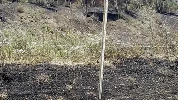 Incendie à Lédenon - Gard - 5 juillet 2026 - Feux de forêts et d'espaces naturels