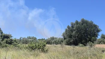 Incendie à Lédenon - Gard - 5 juillet 2026 - Feux de forêts et d'espaces naturels