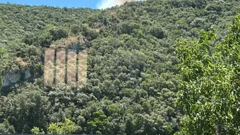 Incendie à Lédenon - Gard - 5 juillet 2026 - Feux de forêts et d'espaces naturels