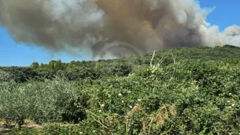 Incendie à Lédenon - Gard - 5 juillet 2026 - Feux de forêts et d'espaces naturels