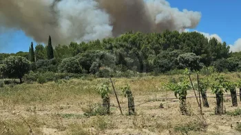 Incendie à Lédenon - Gard - 5 juillet 2026 - Feux de forêts et d'espaces naturels