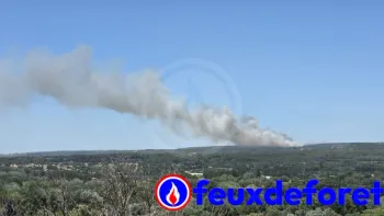 Incendie à Lédenon - Gard - 5 juillet 2026 - Feux de forêts et d'espaces naturels