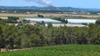 Incendie à Lédenon - Gard - 5 juillet 2026 - Feux de forêts et d'espaces naturels