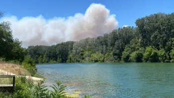 Incendie à Lédenon - Gard - 5 juillet 2026 - Feux de forêts et d'espaces naturels