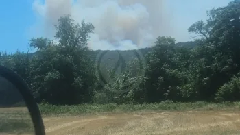Incendie à Lédenon - Gard - 5 juillet 2026 - Feux de forêts et d'espaces naturels