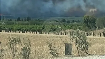 Incendie à Lédenon - Gard - 5 juillet 2026 - Feux de forêts et d'espaces naturels