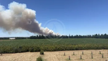 Incendie à Lédenon - Gard - 5 juillet 2026 - Feux de forêts et d'espaces naturels