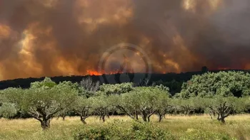 Incendie à Lédenon - Gard - 5 juillet 2026 - Feux de forêts et d'espaces naturels