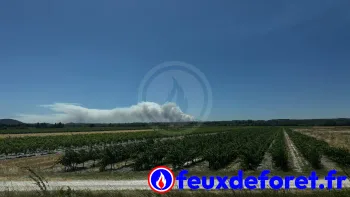 Incendie à Lédenon - Gard - 5 juillet 2026 - Feux de forêts et d'espaces naturels