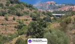 Incendie à Collioure (66) : le feu est éteint