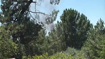 Incendie à Blanquefort - Gironde - 5 juillet 2026 - Feux de forêts et d'espaces naturels