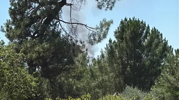 Incendie à Blanquefort - Gironde - 5 juillet 2026 - Feux de forêts et d'espaces naturels