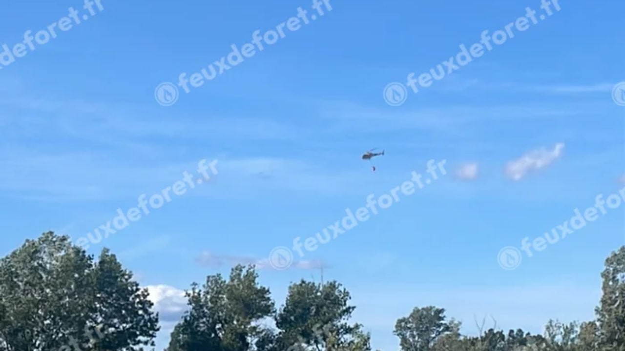Incendie à Pézilla-la-Rivière - Pyrénées-Orientales - 10 juin 2026 - Feux de forêts et d'espaces naturels