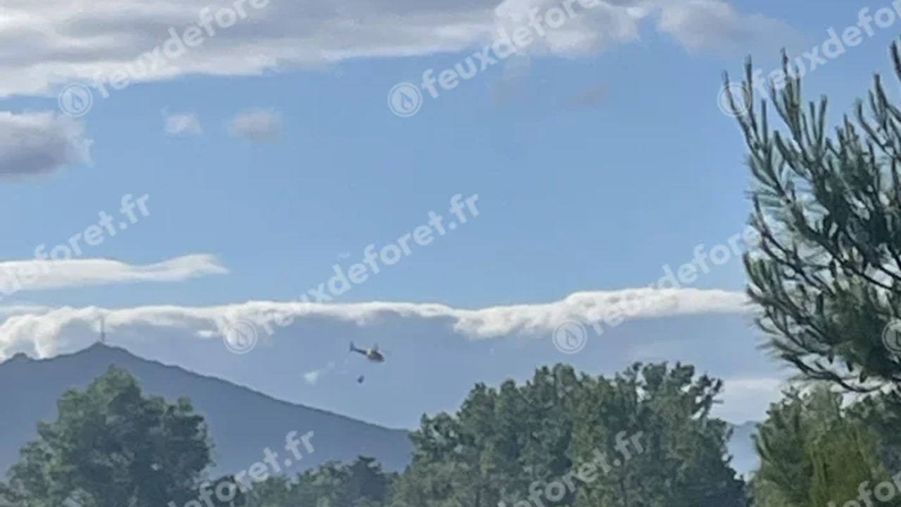 Incendie à Pézilla-la-Rivière - Pyrénées-Orientales - 10 juin 2026 - Feux de forêts et d'espaces naturels