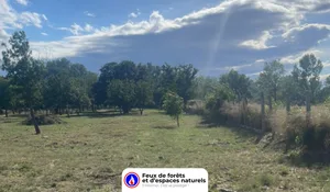 Incendie à Pézilla-la-Rivière (66) : le feu est éteint