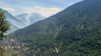 Incendie à Planay - Savoie - 5 juillet 2026 - Feux de forêts et d'espaces naturels