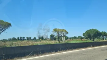 Incendie à Saint-Laurent-d'Aigouze - Gard - 5 juillet 2026 - Feux de forêts et d'espaces naturels