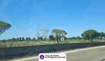 Incendie à Saint-Laurent-d'Aigouze (30) : fausse alerte