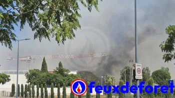 Incendie à Lunel - Hérault - 5 juillet 2026 - Feux de forêts et d'espaces naturels