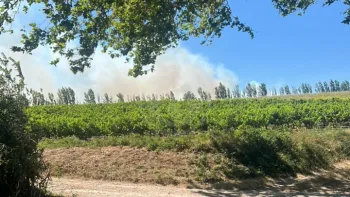 Incendie à Avignon - Vaucluse - 5 juillet 2026 - Feux de forêts et d'espaces naturels