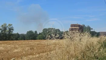 Incendie à Congé-sur-Orne - Sarthe - 5 juillet 2026 - Feux de forêts et d'espaces naturels