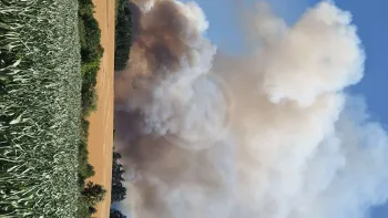 Incendie à Saint-Haon - Haute-Loire - 5 juillet 2026 - Feux de forêts et d'espaces naturels