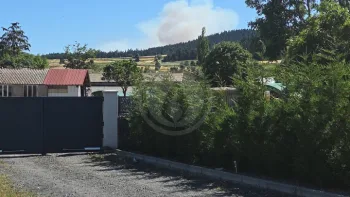 Incendie à Saint-Haon - Haute-Loire - 5 juillet 2026 - Feux de forêts et d'espaces naturels