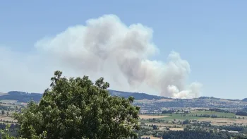Incendie à Saint-Haon - Haute-Loire - 5 juillet 2026 - Feux de forêts et d'espaces naturels