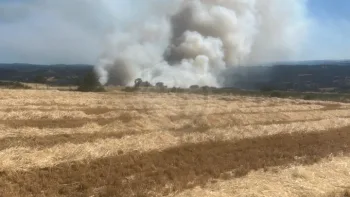 Incendie à Saint-Haon - Haute-Loire - 5 juillet 2026 - Feux de forêts et d'espaces naturels