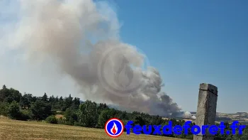 Incendie à Saint-Haon - Haute-Loire - 5 juillet 2026 - Feux de forêts et d'espaces naturels
