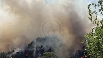 Incendie à Saint-Haon - Haute-Loire - 5 juillet 2026 - Feux de forêts et d'espaces naturels