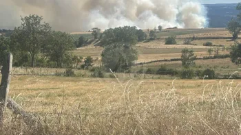 Incendie à Saint-Haon - Haute-Loire - 5 juillet 2026 - Feux de forêts et d'espaces naturels