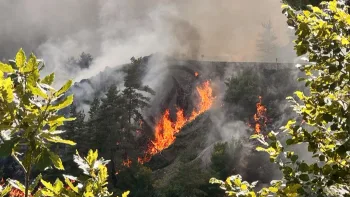 Incendie à Saint-Haon - Haute-Loire - 5 juillet 2026 - Feux de forêts et d'espaces naturels