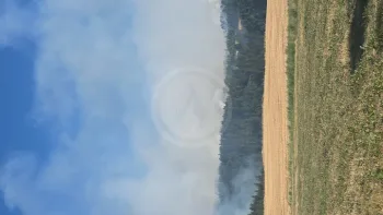 Incendie à Saint-Haon - Haute-Loire - 5 juillet 2026 - Feux de forêts et d'espaces naturels