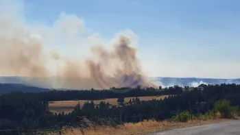 Incendie à Saint-Haon - Haute-Loire - 5 juillet 2026 - Feux de forêts et d'espaces naturels
