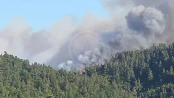 Incendie à Saint-Haon - Haute-Loire - 5 juillet 2026 - Feux de forêts et d'espaces naturels