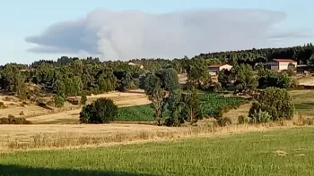 Incendie à Saint-Haon - Haute-Loire - 5 juillet 2026 - Feux de forêts et d'espaces naturels
