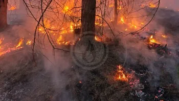 Incendie à Saint-Haon - Haute-Loire - 5 juillet 2026 - Feux de forêts et d'espaces naturels