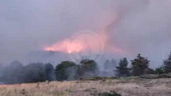 Incendie à Saint-Haon - Haute-Loire - 5 juillet 2026 - Feux de forêts et d'espaces naturels