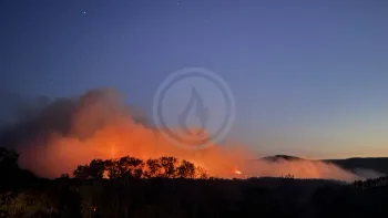 Incendie à Saint-Haon - Haute-Loire - 5 juillet 2026 - Feux de forêts et d'espaces naturels