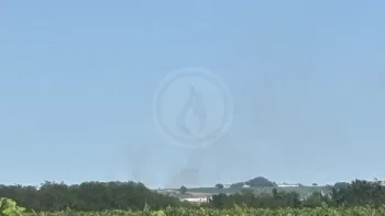 Incendie à Montagne - Gironde - 5 juillet 2026 - Feux de forêts et d'espaces naturels