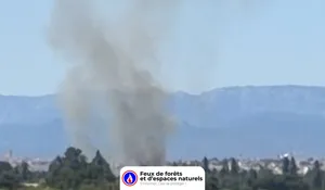 Incendie à Sauvian (34) : les pompiers interviennent