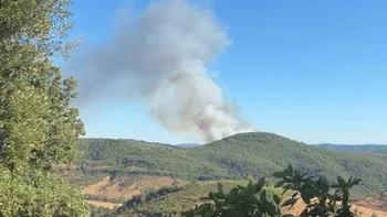 Incendie à Carlencas-et-Levas - Hérault - 5 juillet 2026 - Feux de forêts et d'espaces naturels