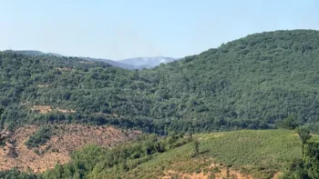 Incendie à Carlencas-et-Levas - Hérault - 5 juillet 2026 - Feux de forêts et d'espaces naturels
