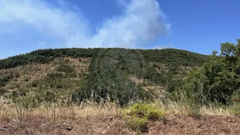 Incendie à Carlencas-et-Levas - Hérault - 5 juillet 2026 - Feux de forêts et d'espaces naturels