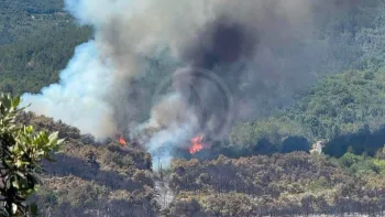 Incendie à Carlencas-et-Levas - Hérault - 5 juillet 2026 - Feux de forêts et d'espaces naturels