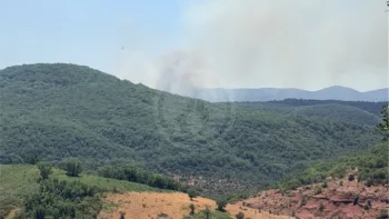 Incendie à Carlencas-et-Levas - Hérault - 5 juillet 2026 - Feux de forêts et d'espaces naturels