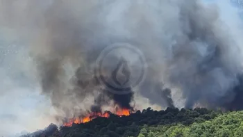 Incendie à Carlencas-et-Levas - Hérault - 5 juillet 2026 - Feux de forêts et d'espaces naturels