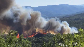 Incendie à Carlencas-et-Levas - Hérault - 5 juillet 2026 - Feux de forêts et d'espaces naturels