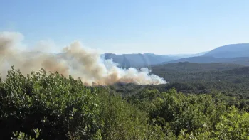 Incendie à Carlencas-et-Levas - Hérault - 5 juillet 2026 - Feux de forêts et d'espaces naturels